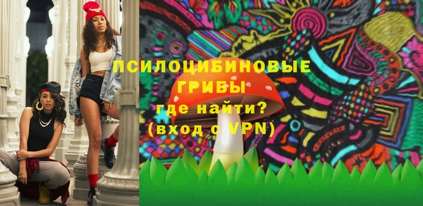 дмт Алексеевка