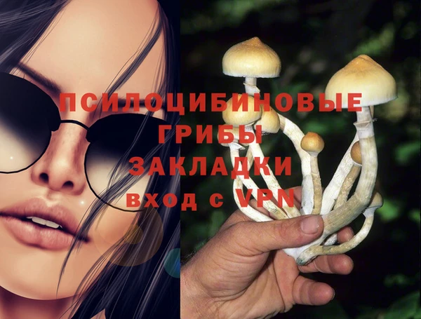 дмт Алексеевка