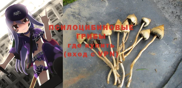 ПСИЛОЦИБИНОВЫЕ ГРИБЫ Алзамай