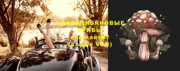 дмт Алексеевка